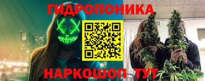 дживик Нальчик