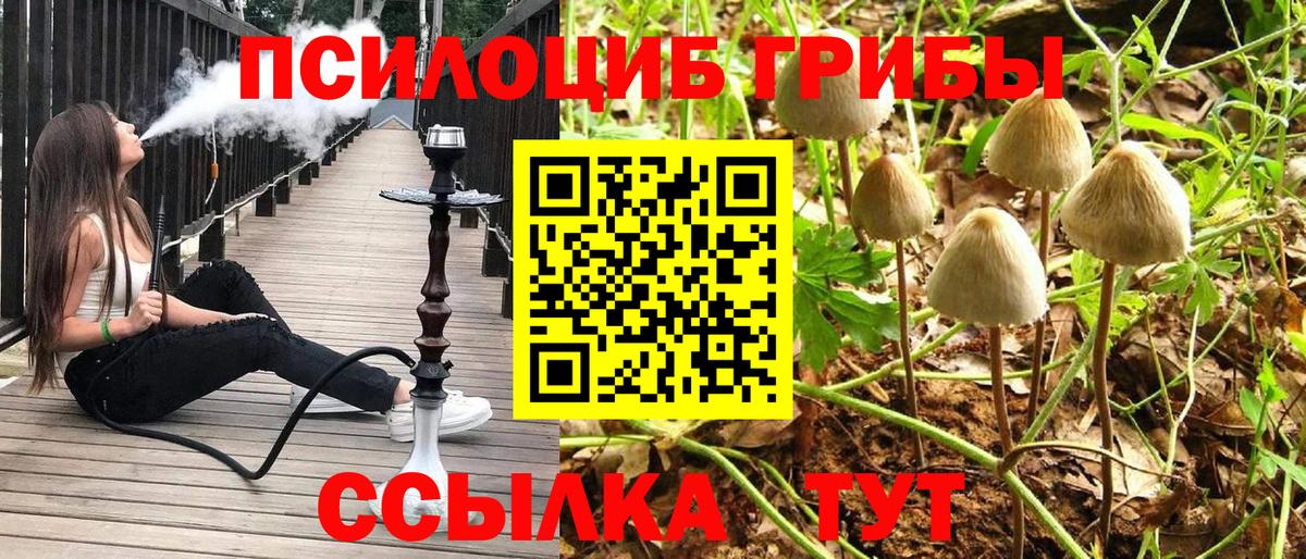 Псилоцибиновые грибы Magic Shrooms  купить   Александров  Вход с VPN 